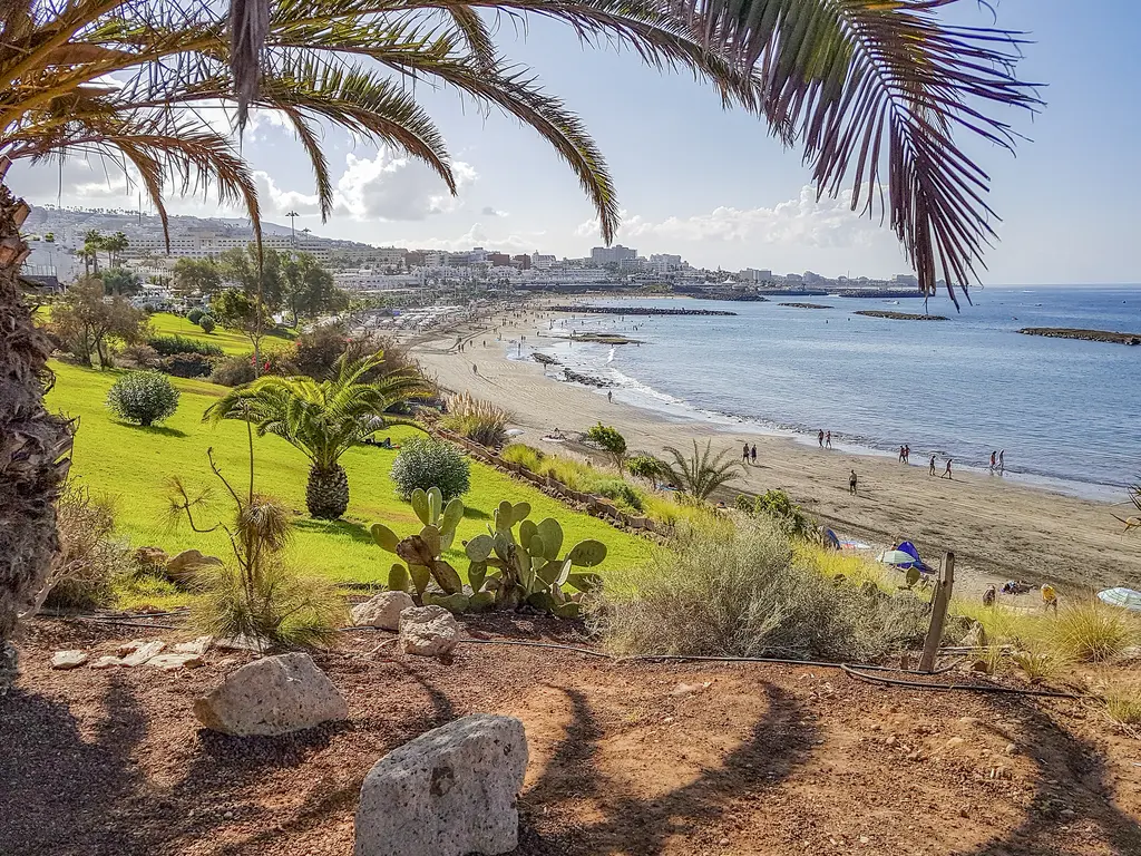 Tenerife: cosa vedere e dove andare per un'esperienza autentica 4 costa adeje tenerife