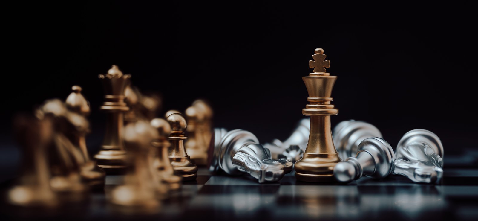 servizi seo pietro rogondino